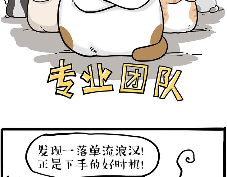 《吾皇巴扎黑》漫画最新章节第290话 凶恶猫猫组织免费下拉式在线观看章节第【25】张图片