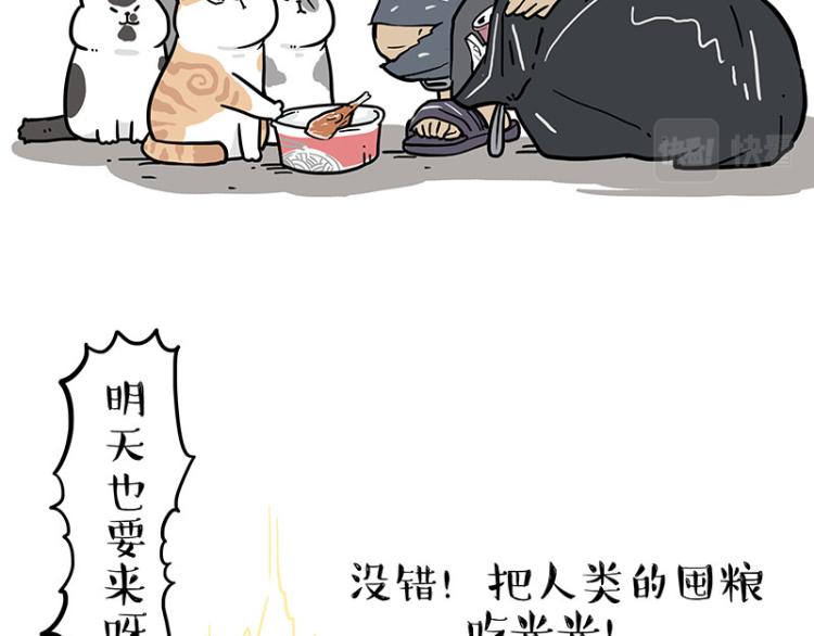 《吾皇巴扎黑》漫画最新章节第290话 凶恶猫猫组织免费下拉式在线观看章节第【34】张图片