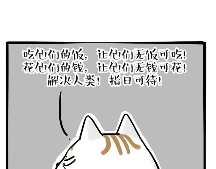 《吾皇巴扎黑》漫画最新章节第290话 凶恶猫猫组织免费下拉式在线观看章节第【36】张图片