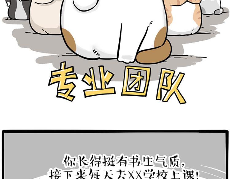 《吾皇巴扎黑》漫画最新章节第290话 凶恶猫猫组织免费下拉式在线观看章节第【39】张图片