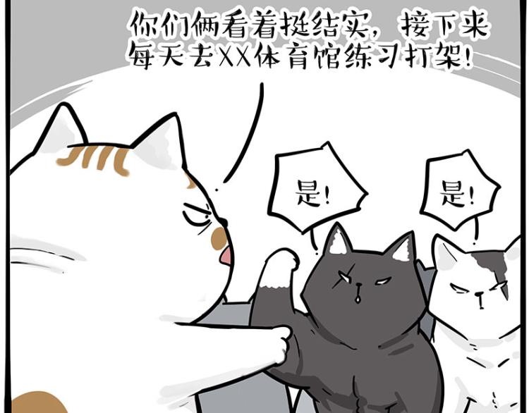 《吾皇巴扎黑》漫画最新章节第290话 凶恶猫猫组织免费下拉式在线观看章节第【43】张图片