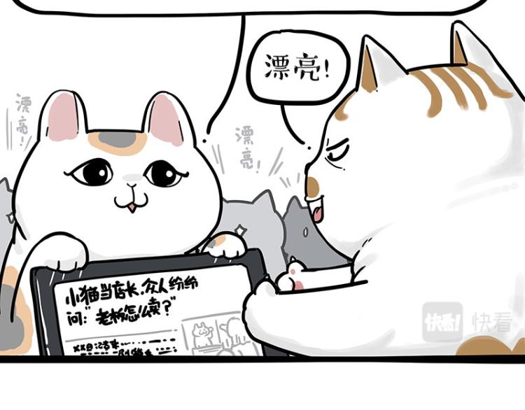 《吾皇巴扎黑》漫画最新章节第290话 凶恶猫猫组织免费下拉式在线观看章节第【47】张图片