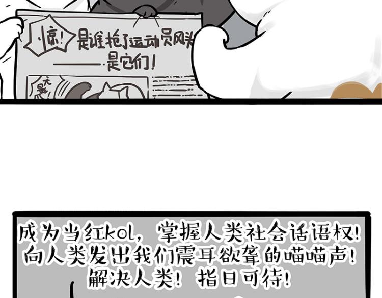 《吾皇巴扎黑》漫画最新章节第290话 凶恶猫猫组织免费下拉式在线观看章节第【50】张图片