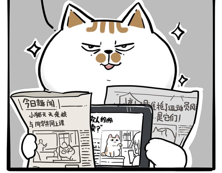 《吾皇巴扎黑》漫画最新章节第290话 凶恶猫猫组织免费下拉式在线观看章节第【51】张图片