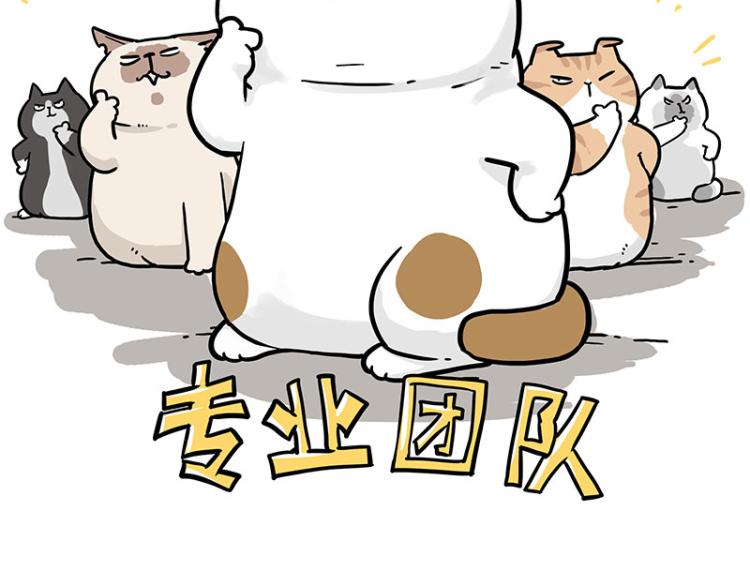 《吾皇巴扎黑》漫画最新章节第290话 凶恶猫猫组织免费下拉式在线观看章节第【53】张图片