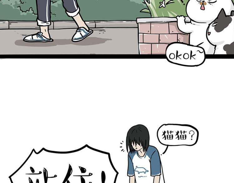 《吾皇巴扎黑》漫画最新章节第290话 凶恶猫猫组织免费下拉式在线观看章节第【55】张图片