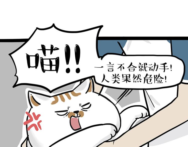 《吾皇巴扎黑》漫画最新章节第290话 凶恶猫猫组织免费下拉式在线观看章节第【58】张图片