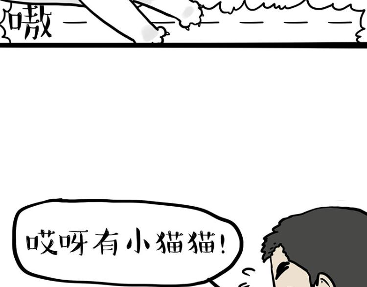 《吾皇巴扎黑》漫画最新章节第290话 凶恶猫猫组织免费下拉式在线观看章节第【6】张图片