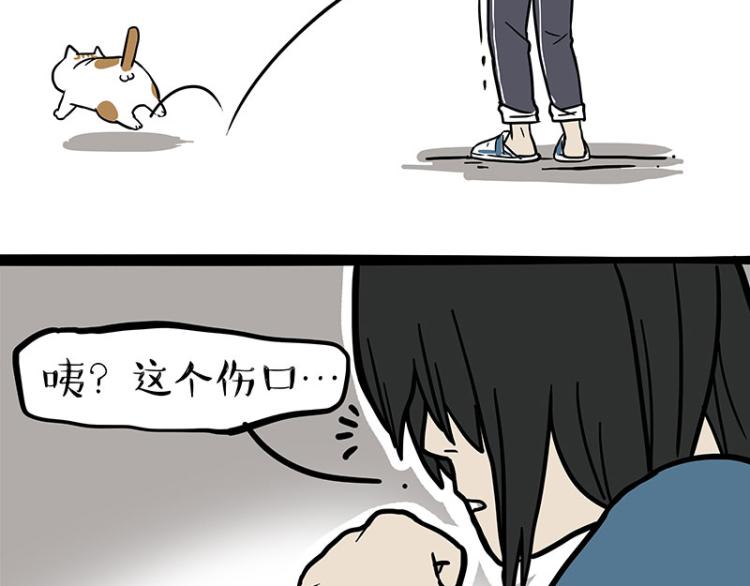 《吾皇巴扎黑》漫画最新章节第290话 凶恶猫猫组织免费下拉式在线观看章节第【62】张图片