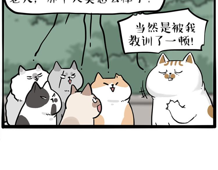 《吾皇巴扎黑》漫画最新章节第290话 凶恶猫猫组织免费下拉式在线观看章节第【65】张图片