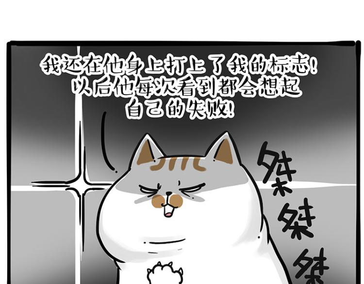 《吾皇巴扎黑》漫画最新章节第290话 凶恶猫猫组织免费下拉式在线观看章节第【66】张图片