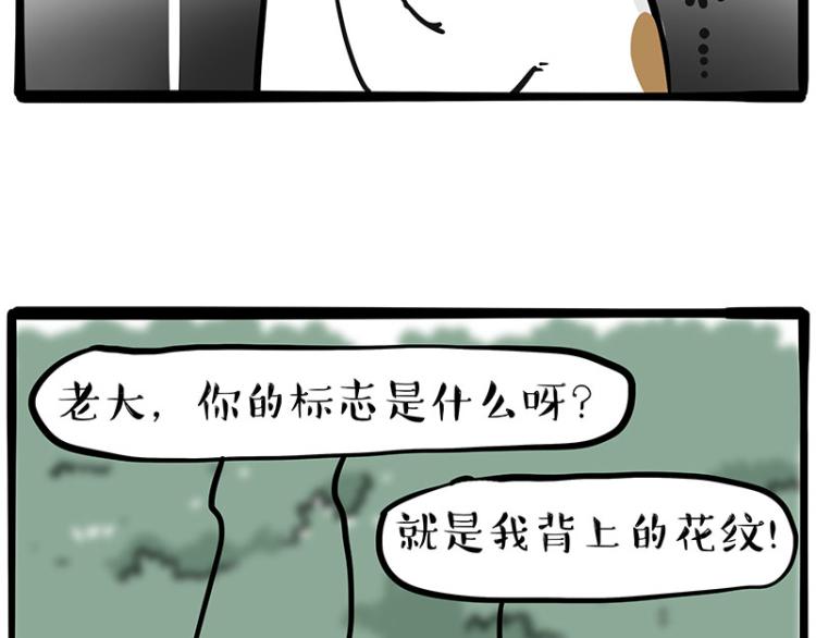 《吾皇巴扎黑》漫画最新章节第290话 凶恶猫猫组织免费下拉式在线观看章节第【67】张图片