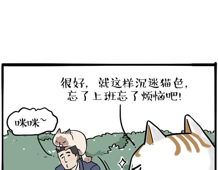 《吾皇巴扎黑》漫画最新章节第290话 凶恶猫猫组织免费下拉式在线观看章节第【8】张图片