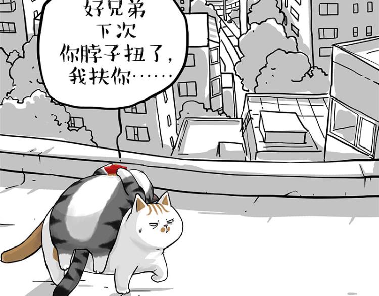 《吾皇巴扎黑》漫画最新章节第291话 好兄弟，一辈子免费下拉式在线观看章节第【102】张图片