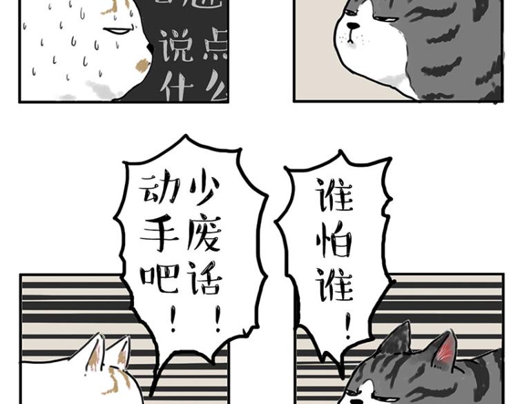 《吾皇巴扎黑》漫画最新章节第291话 好兄弟，一辈子免费下拉式在线观看章节第【11】张图片