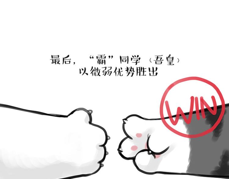 《吾皇巴扎黑》漫画最新章节第291话 好兄弟，一辈子免费下拉式在线观看章节第【14】张图片