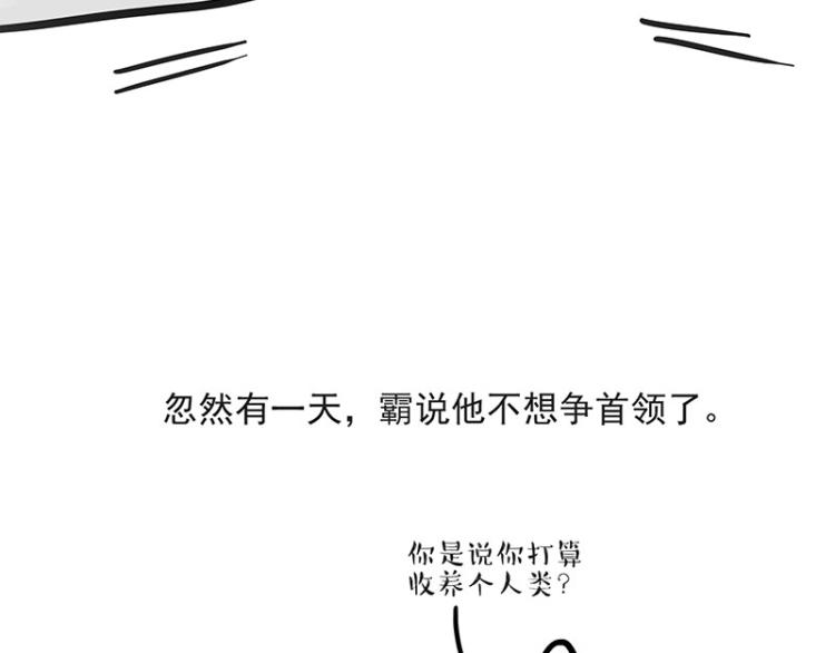 《吾皇巴扎黑》漫画最新章节第291话 好兄弟，一辈子免费下拉式在线观看章节第【15】张图片