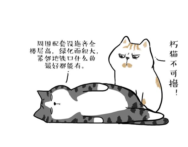 《吾皇巴扎黑》漫画最新章节第291话 好兄弟，一辈子免费下拉式在线观看章节第【24】张图片