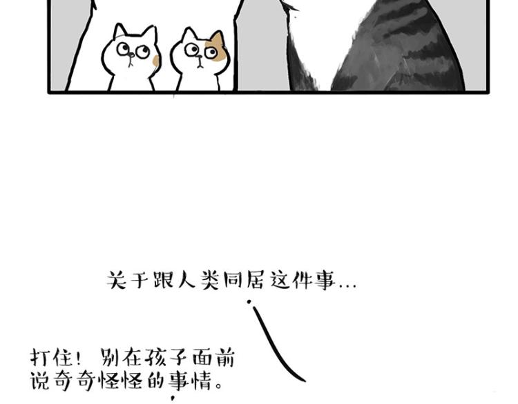 《吾皇巴扎黑》漫画最新章节第291话 好兄弟，一辈子免费下拉式在线观看章节第【28】张图片