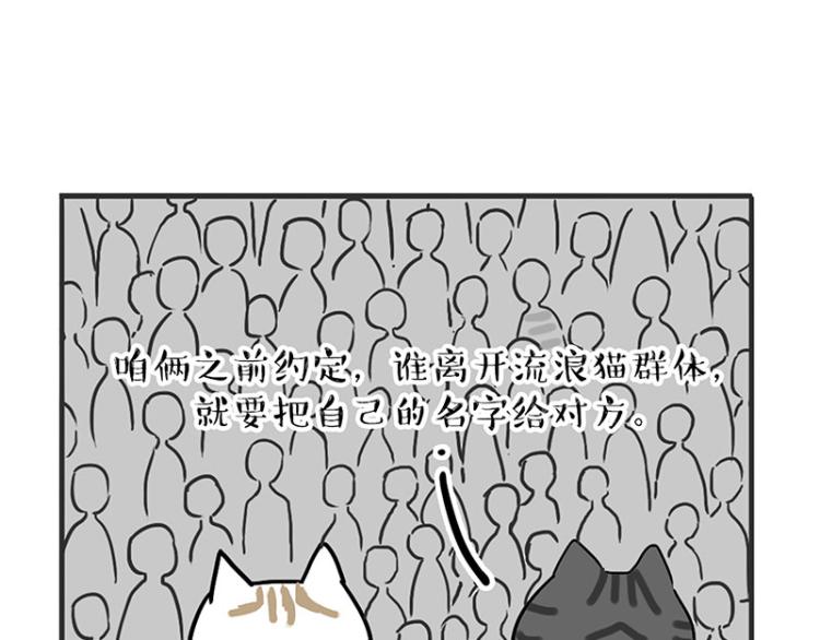 《吾皇巴扎黑》漫画最新章节第291话 好兄弟，一辈子免费下拉式在线观看章节第【36】张图片