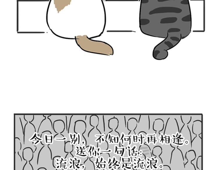 《吾皇巴扎黑》漫画最新章节第291话 好兄弟，一辈子免费下拉式在线观看章节第【46】张图片