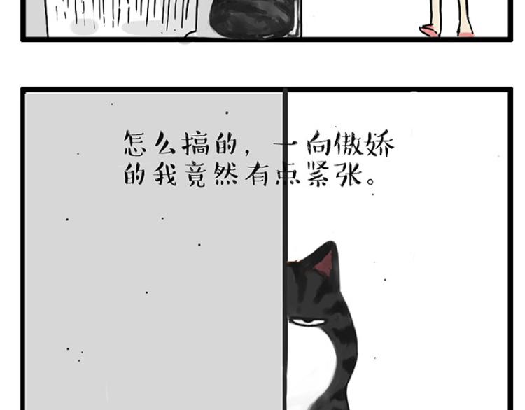 《吾皇巴扎黑》漫画最新章节第291话 好兄弟，一辈子免费下拉式在线观看章节第【53】张图片