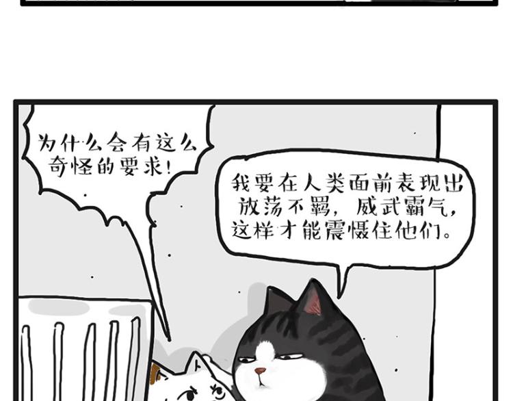 《吾皇巴扎黑》漫画最新章节第291话 好兄弟，一辈子免费下拉式在线观看章节第【60】张图片