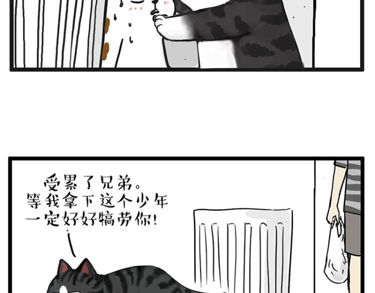 《吾皇巴扎黑》漫画最新章节第291话 好兄弟，一辈子免费下拉式在线观看章节第【61】张图片