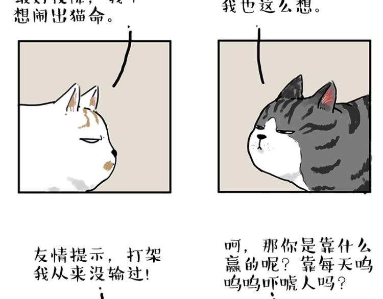 《吾皇巴扎黑》漫画最新章节第291话 好兄弟，一辈子免费下拉式在线观看章节第【7】张图片