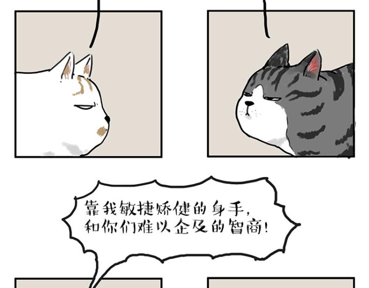 《吾皇巴扎黑》漫画最新章节第291话 好兄弟，一辈子免费下拉式在线观看章节第【8】张图片