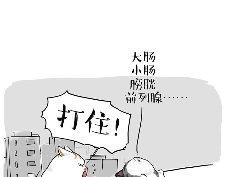 《吾皇巴扎黑》漫画最新章节第291话 好兄弟，一辈子免费下拉式在线观看章节第【84】张图片