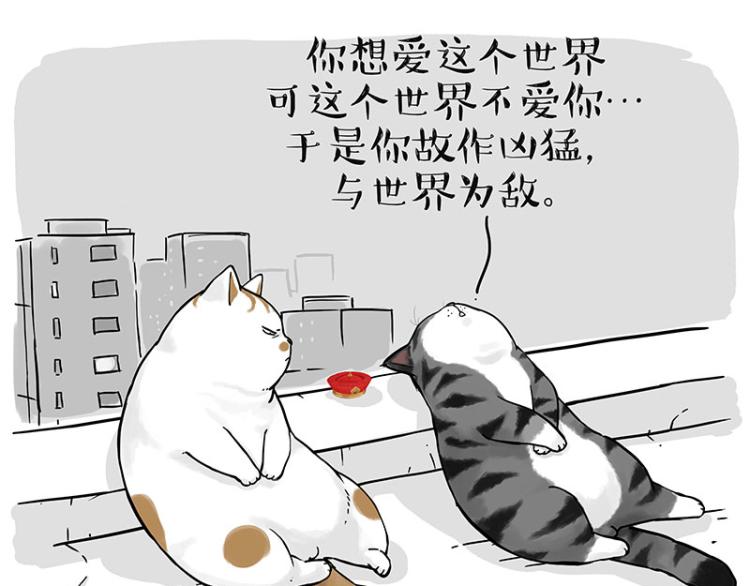 《吾皇巴扎黑》漫画最新章节第291话 好兄弟，一辈子免费下拉式在线观看章节第【86】张图片