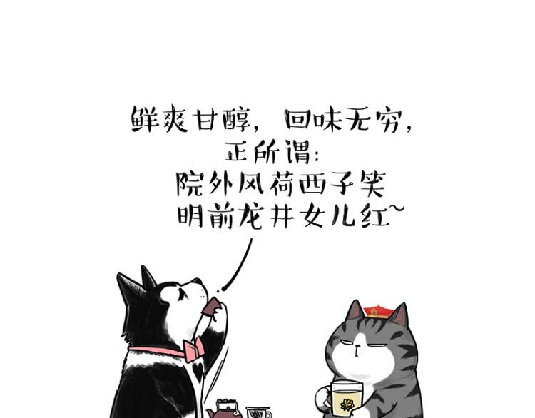 《吾皇巴扎黑》漫画最新章节第292话 吐槽拯救世界免费下拉式在线观看章节第【61】张图片