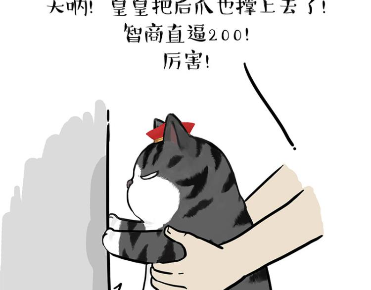 《吾皇巴扎黑》漫画最新章节第294话 教狗游泳难度爆棚免费下拉式在线观看章节第【35】张图片