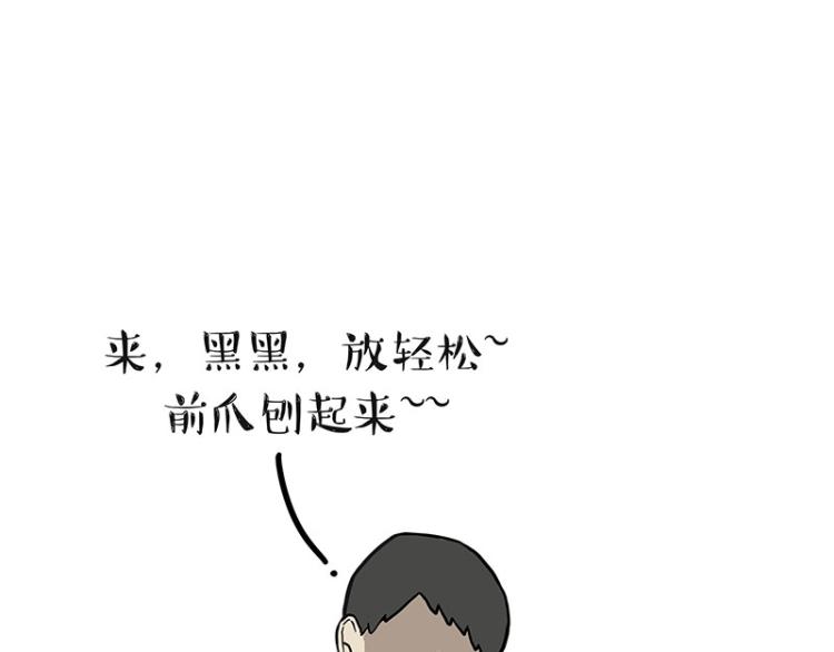 《吾皇巴扎黑》漫画最新章节第294话 教狗游泳难度爆棚免费下拉式在线观看章节第【5】张图片