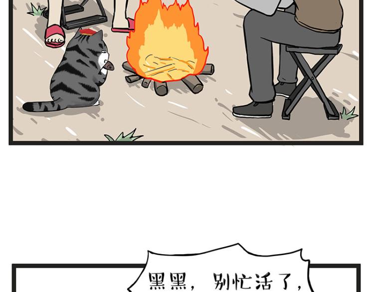 《吾皇巴扎黑》漫画最新章节第295话 求你放过我免费下拉式在线观看章节第【29】张图片