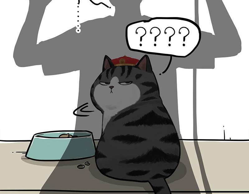 《吾皇巴扎黑》漫画最新章节第296话 披着虎皮的猫免费下拉式在线观看章节第【17】张图片