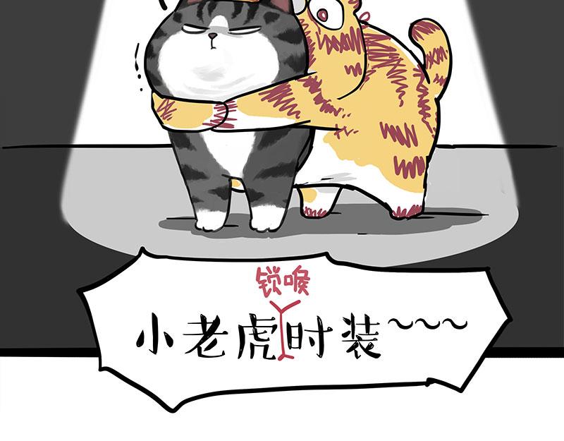 《吾皇巴扎黑》漫画最新章节第296话 披着虎皮的猫免费下拉式在线观看章节第【21】张图片