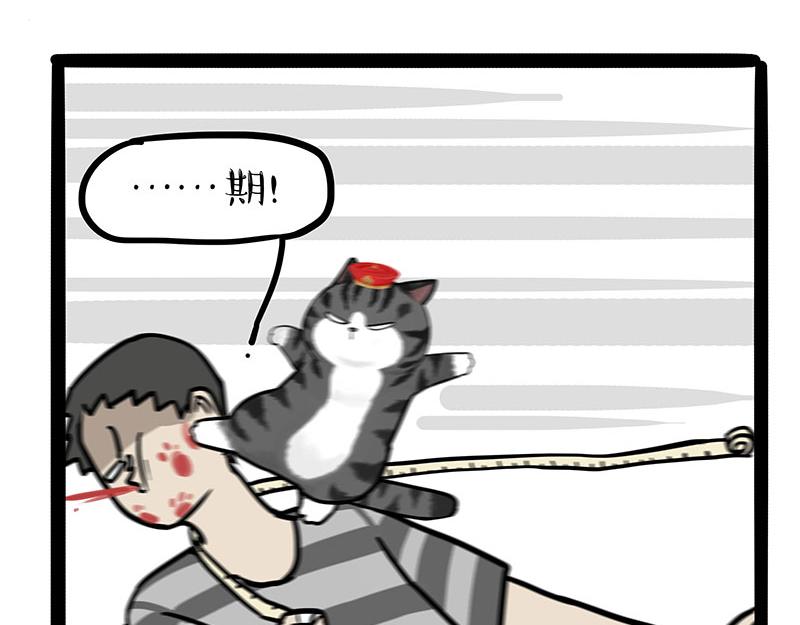 《吾皇巴扎黑》漫画最新章节第296话 披着虎皮的猫免费下拉式在线观看章节第【26】张图片