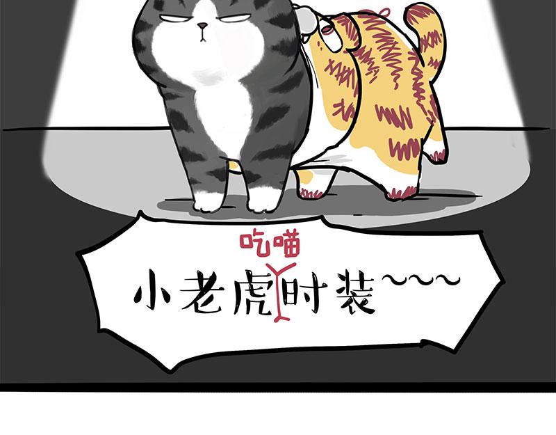《吾皇巴扎黑》漫画最新章节第296话 披着虎皮的猫免费下拉式在线观看章节第【9】张图片