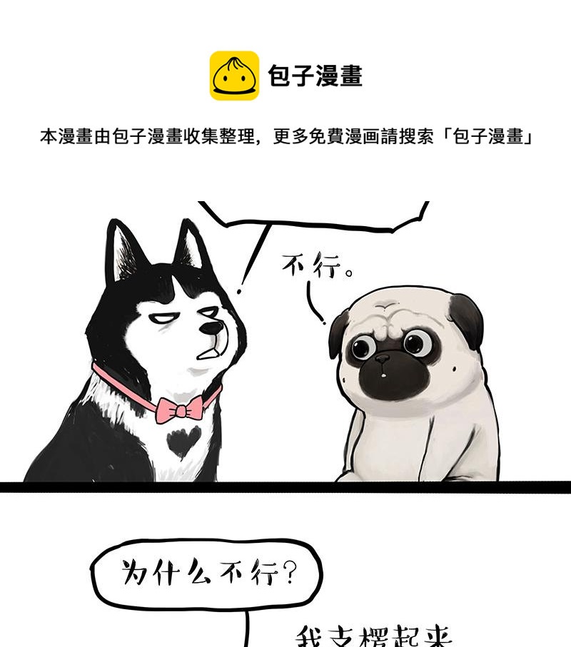 《吾皇巴扎黑》漫画最新章节第297话 无处不在拦路猫免费下拉式在线观看章节第【11】张图片