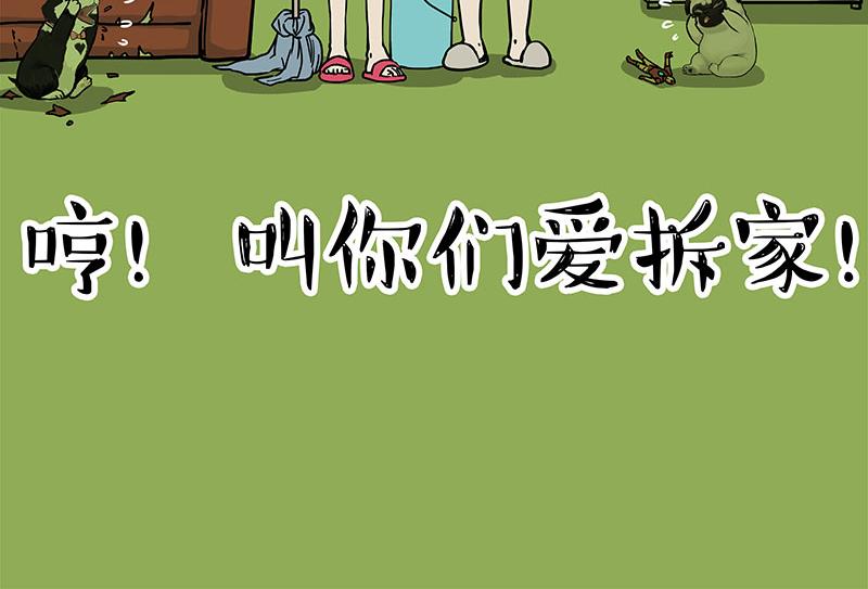 《吾皇巴扎黑》漫画最新章节第297话 无处不在拦路猫免费下拉式在线观看章节第【29】张图片