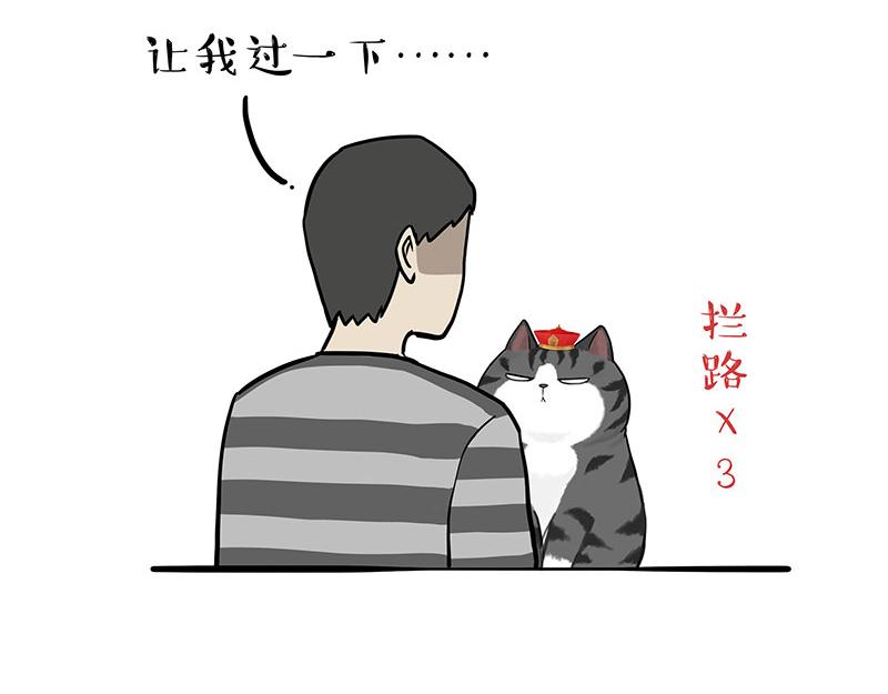 《吾皇巴扎黑》漫画最新章节第297话 无处不在拦路猫免费下拉式在线观看章节第【6】张图片