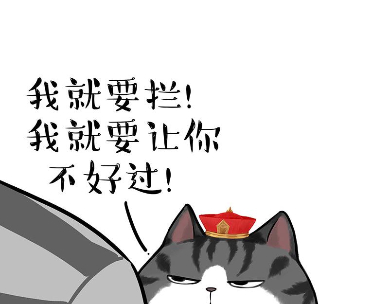 《吾皇巴扎黑》漫画最新章节第297话 无处不在拦路猫免费下拉式在线观看章节第【7】张图片