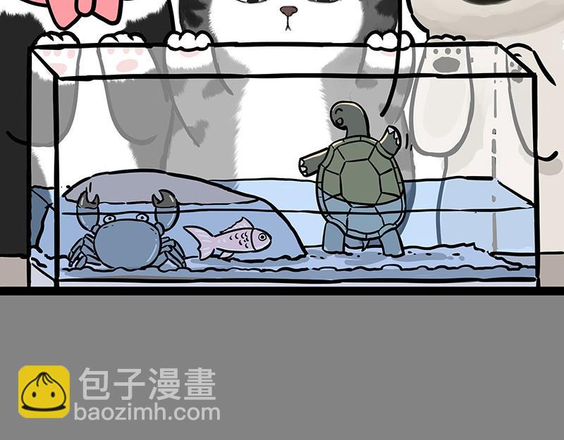【吾皇巴扎黑】漫画-（第298话 龟与狗与世界）章节漫画下拉式图片-10.jpg