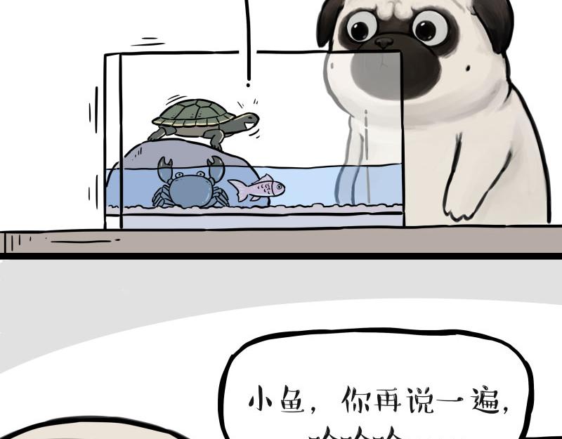 【吾皇巴扎黑】漫画-（第298话 龟与狗与世界）章节漫画下拉式图片-24.jpg