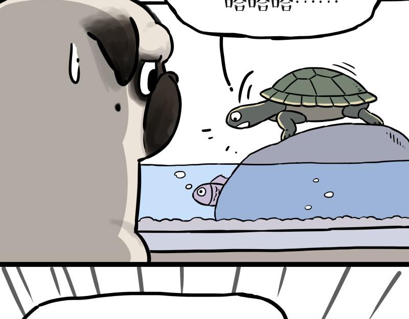 《吾皇巴扎黑》漫画最新章节第298话 龟与狗与世界免费下拉式在线观看章节第【25】张图片