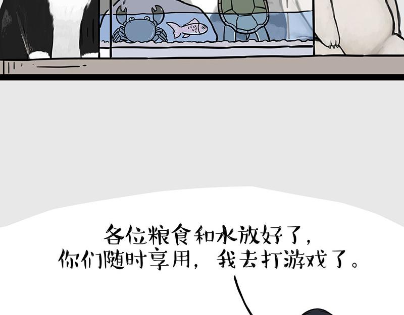 【吾皇巴扎黑】漫画-（第298话 龟与狗与世界）章节漫画下拉式图片-3.jpg