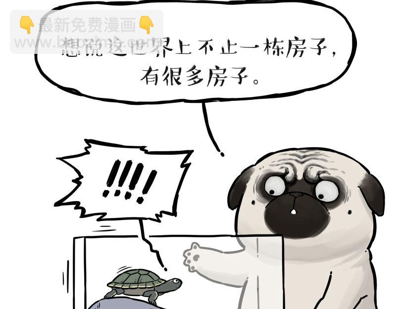 【吾皇巴扎黑】漫画-（第298话 龟与狗与世界）章节漫画下拉式图片-30.jpg