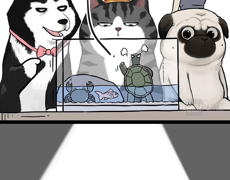 【吾皇巴扎黑】漫画-（第298话 龟与狗与世界）章节漫画下拉式图片-6.jpg